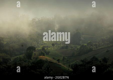 Landwirtschaftliche Nutzflächen in Minahasa, Nord-Sulawesi, Indonesien. Stockfoto