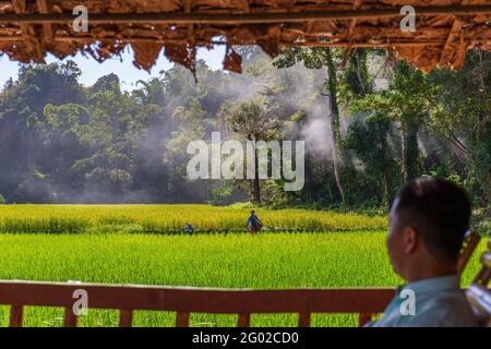 HPA-AN, MYANMAR - 29. DEZEMBER 2017 : EIN Mann aus dem Stamm der Karen pflanzt auf einem Feld eine neue Reispflanze und wird von einem Mann beobachtet, der auf einer Veranda sitzt Stockfoto