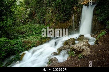 Bullidor de la Llet Quelle im Sommer, nach starken Regenfällen (Berguedà, Katalonien, Spanien, Pyrenäen) ESP: Surgencia del Bullidor de la Llet, en verano Stockfoto