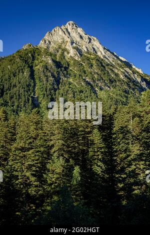 Encantats Zwillingsspitzen in einer Seitenansicht von der Wanderung zum Estany de Sant Maurici See (Aigüestortes i Estany de Sant Maurici Nationalpark) Stockfoto