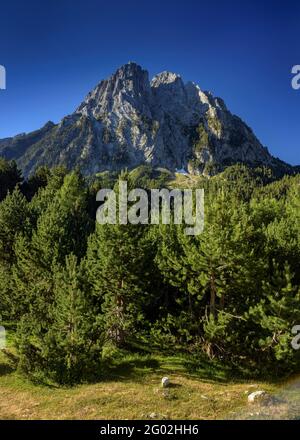 Encantats Twin Peaks gesehen vom Estany de Sant Maurici See im Sommer (Aiguestortes i Sant Maurici Nationalpark, Katalonien, Spanien, Pyrenäen) Stockfoto