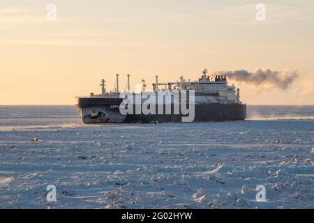 Sabetta, Region Tjumen, Russland - 21. März 2021: Der Gasträger Boris Davydow zieht in Eis. Stockfoto