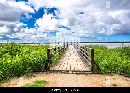 Grüne Frühlingslandschaft des Seestrades mit Pier, Holzdeck oder Brücke zum Angeln Stockfoto