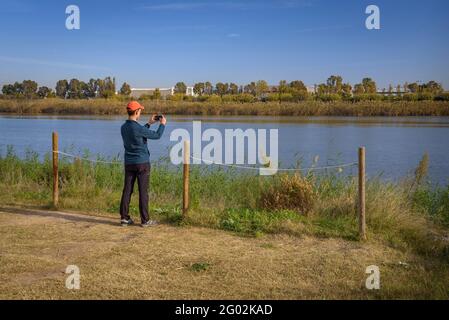 Llobregat Delta Naturgebiet neben dem Flughafen und Hafen von Barcelona (Katalonien, Spanien) ESP: Espacio Natural del Delta del Llobregat, Barcelona, España Stockfoto