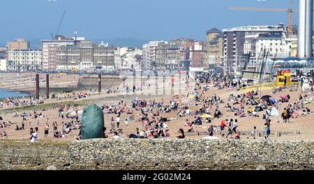 Brighton UK 31. Mai 2021 - Sonnenanbeter und Schwimmer am Strand von Brighton genießen die heiße Sonne mit Temperaturen, die in Teilen des Südostens voraussichtlich Mitte der zwanziger Jahre erreicht werden : Credit Simon Dack / Alamy Live News Stockfoto