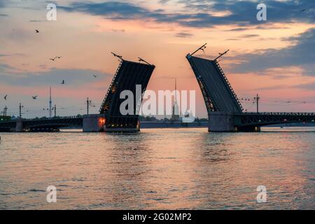 Palace Bridge on Neva River in white night in St. Petersburg, Russland Stockfoto