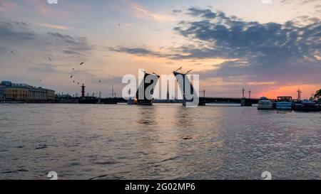 Palace Bridge on Neva River in white night in St. Petersburg, Russland Stockfoto