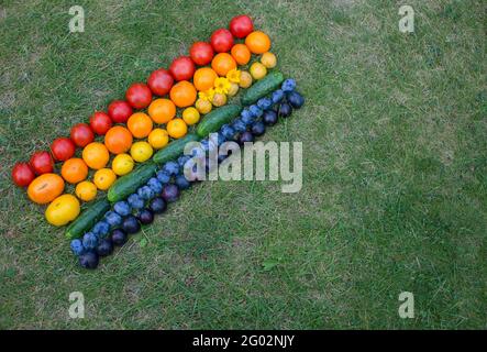Auf dem grünen Rasen werden leuchtend reifes, mehrfarbiges Gemüse und Obst - Tomaten, Gurken und Pflaumen - in Regenbogenfarben gestreift. Farmer’ Stockfoto