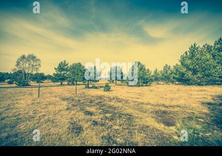 Landschaft des Feldes mit trockenem Gras im Frühjahr, gefiltertes Foto Stockfoto