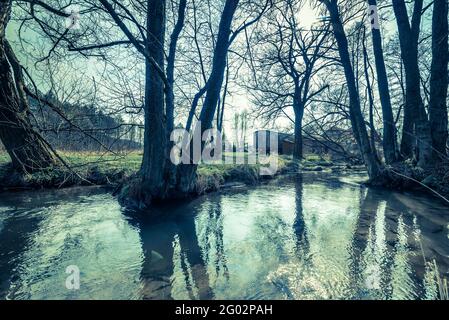 Fluss in der Landschaft der Natur im Frühling Anfang, Anfang Winter oder Spätherbst, Wildnisgebiet in Naturzustand, Polen Stockfoto