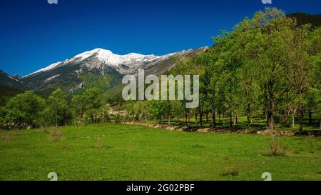 Serra de Cadí (Puig Terrers) schneebedeckte Bergkette von Gisclareny aus gesehen an einem Frühlingsmorgen (Provinz Barcelona, Katalonien, Spanien, Pyrenäen) Stockfoto