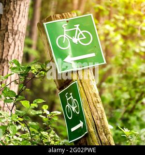 Schilder für Fahrradwege durch einen Wald, grüne Schilder mit weißen Fahrrädern und ein Richtungspfeil auf einem krummen verwitterten Holzpfosten Stockfoto