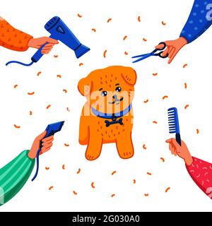 Pet grooming concept. Happy lap-dog and hands with a comb, hairdryer, scissors, and haircut clipper on white background. Dog care, grooming, hygiene Stock Vektor