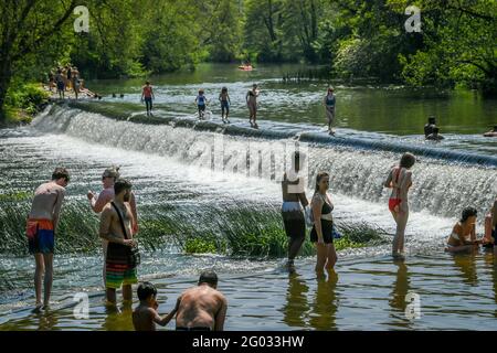 Die Menschen paddeln und schwimmen in Warleigh Weir, Bath, da der Feiertag-Montag der bisher heißeste Tag des Jahres sein könnte - mit Temperaturen, die in Teilen Großbritanniens auf 25 C steigen werden. Bilddatum: Montag, 31. Mai 2021. Stockfoto