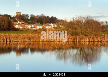 Großbritannien, South Yorkshire, Barnsley, Darfield und Wombwell ings Nature Reserve Stockfoto