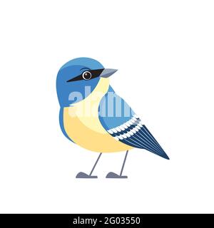 Weißbrustnuthatch ist ein kleiner singbird der Familie der Nuthatch, der in ganz Nordamerika verbreitet ist. Cartoon flachen Stil schönen Charakter der Ornithologie Stock Vektor