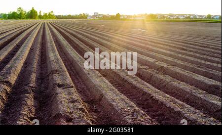 Feld in Rheinland-Pfalz/Deutschland Panoramabild Stockfoto