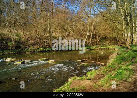 Großbritannien, South Yorkshire, River Dearne, in der Nähe des Dearne Valley Park Stockfoto