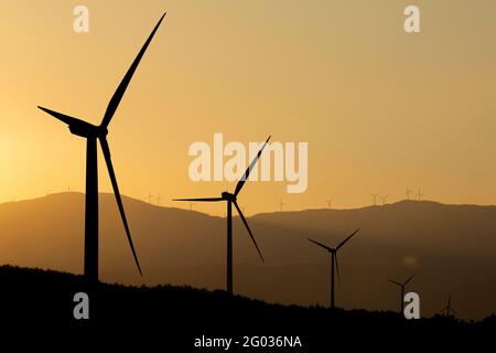 Silhouetten von Windenergieanlagen bei Sonnenuntergang Stockfoto