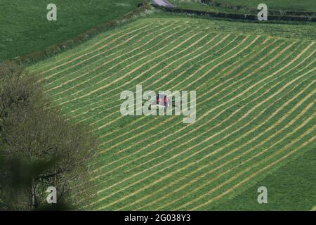 UK Wetter: Brandsby North Yorkshire, UK, 31. Mai 2021. Die Bauern beginnen mit dem Silierprozess in den North Yorkshire Fields und machen das Beste aus dem erwarteten guten Wetter. Stockfoto