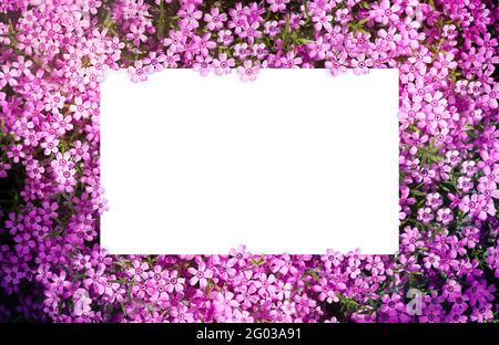 Schöner floraler Hintergrund mit kleinen Mustern. Großes weißes Blatt in der Mitte für die Inschrift Stockfoto