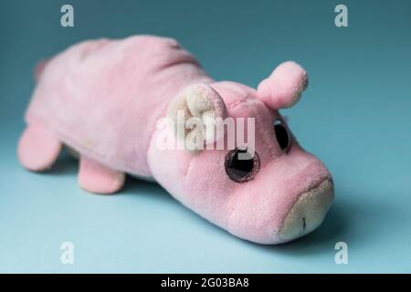 Plüsch Spielzeug rosa Schwein auf einem blauen Hintergrund. Innenansicht, Tageslicht, Vorderansicht. Stockfoto