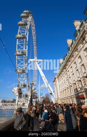 Großbritannien, England, London, das London Eye (Millennium Wheel) und die County Hall (London Sea Life Aquarium) Stockfoto