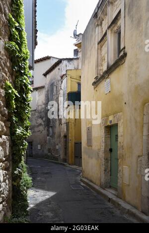 Geburtsort (rechts) & Haus von Michel Nostradamus, oder Michel de Nostredamen im Jahr 1503 in der Altstadt von Saint-Remy-de-Provence Provence Frankreich Stockfoto