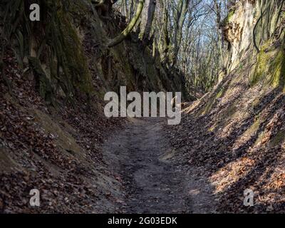 Die Lössschlucht mit dem Namen Königin Jadwiga, Sandomierz, Polen Stockfoto