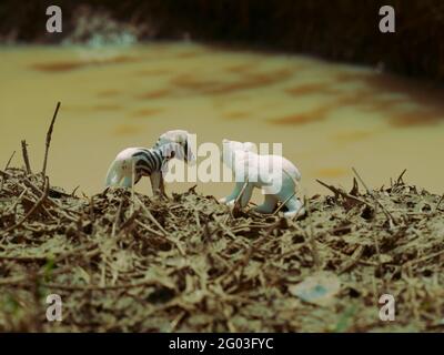 Zebra und Babybär stehen zusammen in der Nähe schmutzig verschmutzt Wasserquelle Stockfoto