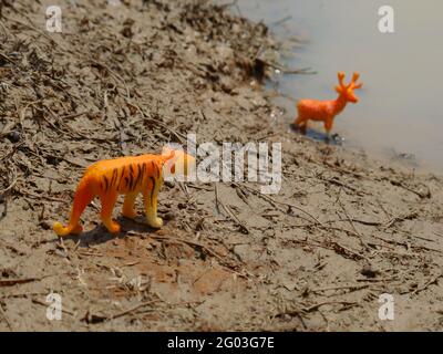 Tiger jagen Hirsch für die Jagd Konzept Tierspielzeug auf Wald Hintergrund Stockfoto