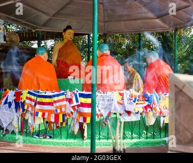 Idole von Buddha und Schüler unter dem heiligen Bodhi Baum & Komplex in Sarnath, wo Lord Buddha die erste Predigt hielt, nachdem er Erleuchtung erlangt hatte Stockfoto