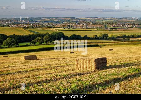 Großbritannien, South Yorkshire, Rotherham, Hay Bales in Feilen mit Blick auf die Stadt Wombwell und das Dorf Brampton Bierlow. Stockfoto