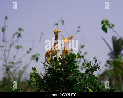 Giraffe Plastikspielzeug und Hirsche stehen zusammen auf einer tropischen Pflanze Im Waldhintergrund Stockfoto