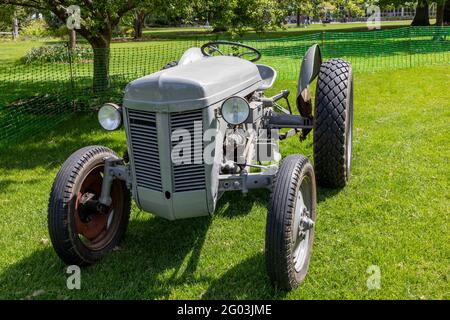 Massey Ferguson TE20 Vintage-Traktor. Liebevoll bekannt als die kleine Fergie Stockfoto