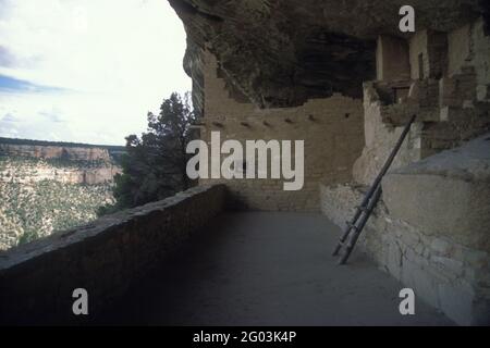 Long House, Mesa Verde, Colorado Stockfoto