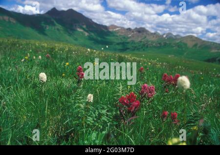 Crested Butte, Gunnison County, Colorado Stockfoto