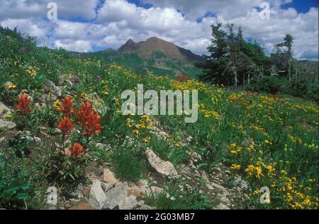 Crested Butte, Gunnison County, Colorado Stockfoto