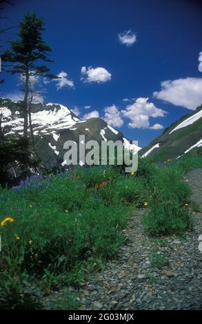 Crested Butte, Gunnison County, Colorado Stockfoto