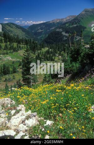 Crested Butte, Gunnison County, Colorado Stockfoto