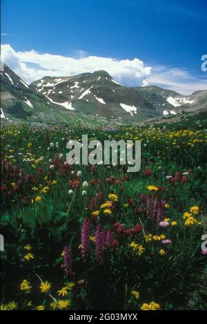 Crested Butte, Gunnison County, Colorado Stockfoto