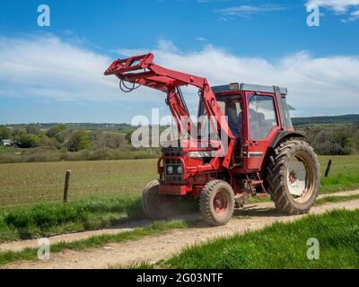 HOLSWORTHY, DEVON, ENGLAND - MAI 30 2021: Oldtimer-Traktor, landwirtschaftliches Fahrzeug bei Rallye. 885XL International. Stockfoto