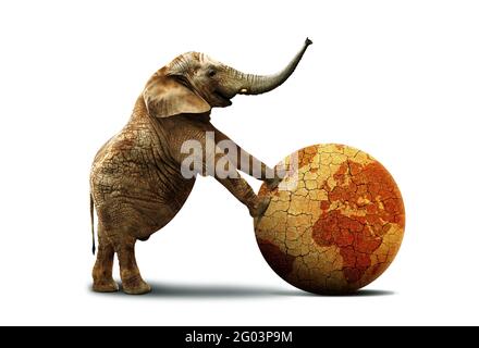 Einsamer Elefant mit trockenem Planeten Erde isoliert auf weißem Hintergrund. Konzept für den Klimawandel und die globale Erwärmung. Stockfoto