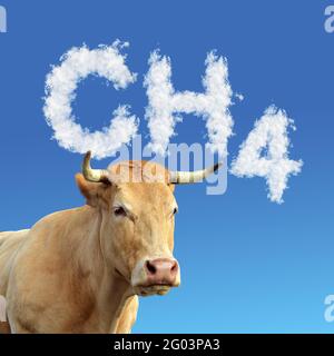 Kuhkopf mit CH4-Text aus Wolken im Hintergrund. Das Konzept der Methanemissionen von Nutztieren. Stockfoto
