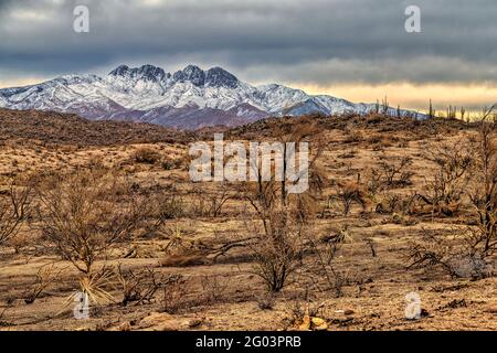 Winteransicht der Bush Fire Brandnarbe und Four Peaks Wilderness im Tonto National Forest etwa 45 Meilen nordnordöstlich von Phoenix, Arizo Stockfoto