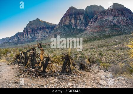 Wunderschöne Wüstenlandschaft vom Red Rock Canyon aus gesehen Stockfoto