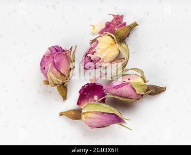 Mehrere alte getrocknete Rosenknospen schließen auf einer grauen Keramikplatte Stockfoto