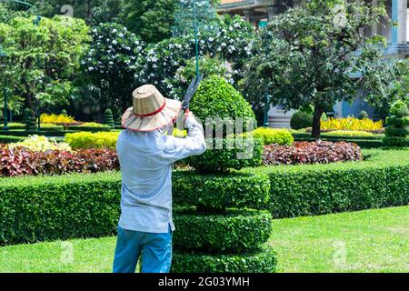 Älterer Mann, der Baum im Obstgarten beschneidet. Gartenarbeit im Frühjahr. Stockfoto