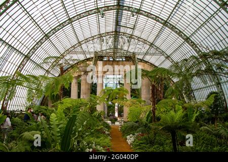 Brüssel, Belgien, 28. Mai 2021. Belgien, Brüssel, Königliche Gewächshäuser von Laeken Stockfoto