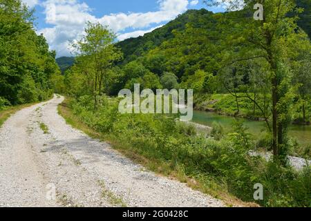 Die Landschaft Ende Mai in der Nähe des Flusses Torrente Cosizza in der Nähe des Dorfes Cemur in der Provinz Udine, Friaul-Julisch Venetien, Nordostitalien Stockfoto